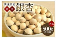 つくば 銀杏 ( ぎんなん ) 大玉 銀杏 殻付 冷凍 500g 農薬不使用 無着色 贈答品 ギフト 高級 旬 食材 食品 国産 冷凍保存 産地直送 送料無料 (A24-003)