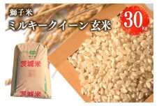 【令和7年産】獅子米 ミルキークイーン 玄米 30kg お米 米 おこめ ブランド米 ミルキー 30キロ 国産 単一原料米 コメ こめ ご飯 銘柄米 茨城県産 茨城 産直 産地直送 農家直送 ごはん 家庭用 贈答用 お取り寄せ ギフト 茨城県 石岡市 (B02-008)