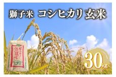【令和7年産】獅子米 コシヒカリ 玄米 30kg 岡田ファーム コンテスト受賞米 お米 米 おこめ ブランド米 こしひかり 30キロ 国産 単一原料米 コメ こめ ご飯 銘柄米 茨城県産 茨城 産直 産地直送 農家直送 ごはん 家庭用 贈答用 お取り寄せ ギフト 茨城県 石岡市 (B02-004)