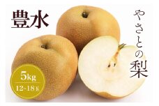 【 2025年 先行予約 】 筑波山麓やさとの梨 ( 豊水 ) 5kg ( 12玉 ～ 18玉 ) 梨 なし ナシ 果物 フルーツ 品種 豊水梨 3L 2L L サイズ 5キロ 産地直送 農家直送 産直 国産 くだもの 甘い 酸味 ギフト 贈答用 家庭用 茨城県産 茨城県 石岡市 (A25-003)