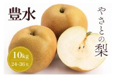 【 2025年 先行予約 】 筑波山麓やさとの梨 ( 豊水 ) 10kg ( 24玉 ～ 36玉 ) 梨 なし ナシ 果物 フルーツ 品種 豊水梨 3L 2L L サイズ 10キロ 産地直送 農家直送 産直 国産 くだもの 甘い 酸味 ギフト 贈答用 家庭用 茨城県産 茨城県 石岡市 (A25-004)