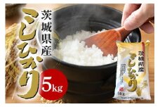 【令和6年産】石岡市産コシヒカリ 5kg 精米 限定30袋 米 お米 こしひかり 白米 こめ コシヒカリ 5.0kg ブランド米 取り寄せ 特産 ごはん ご飯 コメ お取り寄せ ギフト 贈り物 お弁当 弁当 おにぎり ふっくら ツヤツヤ 甘い 農家直送 産地直送 数量限定 国産 茨城県産 石岡市 5.0キロ 贈答 (B05-001)