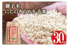 【令和7年産】獅子米 にじのきらめき 玄米 30kg 岡田ファーム お米 米 おこめ ブランド米 にじのひらめき 30キロ 国産 単一原料米 コメ こめ ご飯 銘柄米 茨城県産 茨城 産直 産地直送 農家直送 ごはん 家庭用 贈答用 お取り寄せ ギフト 茨城県 石岡市 (B02-012)