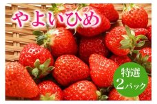 【2026年先行予約】やよいひめ 特選 いちご イチゴ 苺 15玉 2パック 国産 果物 フルーツ くだもの 1月 2月 3月 発送 冬 旬 産地直送 農家直送 産直 甘い デザート スイーツ 家庭用 贈答 贈答用 茨城 茨城県 石岡市 (A13-004)