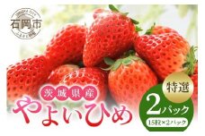 【2026年先行予約】やよいひめ 特選 いちご イチゴ 苺 15玉 2パック 国産 果物 フルーツ くだもの 1月 2月 3月 発送 冬 旬 産地直送 農家直送 産直 甘い デザート スイーツ 家庭用 贈答 贈答用 茨城 茨城県 石岡市 (A13-004)