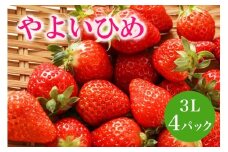 【2026年先行予約】やよいひめ 3L いちご イチゴ 苺 13粒 4パック 1kg 以上 国産 果物 フルーツ くだもの 1月 2月 3月 発送 冬 旬 産地直送 農家直送 産直 甘い デザート スイーツ 家庭用 贈答 贈答用 茨城 茨城県 石岡市 (A13-005)