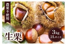 【 2025年 先行予約 】 生栗 3kg 果じゅまる園 栗 くり クリ 2L サイズ 3キロ 農薬不使用 殺虫剤不使用 国産 和栗 甘栗 果物 フルーツ くだもの 秋 旬 9月 10月 発送 産地直送 農家直送 産直 栗きんとん 栗ごはん 甘い 栗ご飯 栗おこわ 茨城県 石岡市 (A18-003)