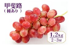 【 2025年 先行予約 】 甲斐路 ( 種あり ) 1.2kg 開田ぶどう園 2房 ～ 3房 ぶどう ブドウ 国産 果物 くだもの 葡萄 フルーツ 1.2キロ 1kg 以上 9月 発送 夏 秋 旬 品種 茨城県産 産地直送 産直 農家直送 冷蔵 茨城県 石岡市 (A01-014)
