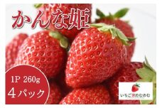 いちご かんな姫 4p いちご家のむのむ イチゴ 苺 4パック 国産 果物 フルーツ くだもの 1月 2月 3月 発送 冬 旬 産地直送 農家直送 産直 甘い デザート スイーツ 家庭用 贈答 贈答用 茨城 茨城県 石岡市 (A28-003)