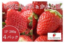 いちご いばらキッス 2p ＆ かんな姫 2p 計4p いちご家のむのむ イチゴ 苺 4パック 国産 果物 フルーツ くだもの 1月 2月 発送 冬 旬 産地直送 農家直送 産直 甘い デザート スイーツ 家庭用 贈答 贈答用 茨城 茨城県 石岡市 (A28-005)