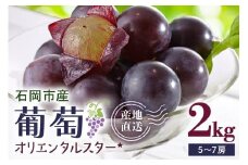 【 2025年 先行予約 】 オリエンタルスター 2kg 開田ぶどう園 5房 ～ 7房 ぶどう ブドウ 国産 果物 くだもの 葡萄 フルーツ 2キロ 9月 発送 夏 秋 旬 品種 茨城県産 産地直送 産直 農家直送 冷蔵 茨城県 石岡市 (A01-015)