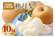 【 2025年 先行予約 】 秋月梨　3L～5L（二段10kg）梨 約 20玉 ～ 28玉 品種 秋月 あきづき なし ナシ 果物 フルーツ 大玉 3L 4L 5L サイズ 10キロ 9月 10月 発送 秋 旬 産地直送 農家直送 産直 国産 くだもの 甘い 茨城県産 茨城県 石岡市 送料無料 (A15-004)
