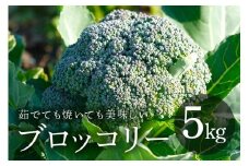 ブロッコリー 5kg 緑黄色野菜 野菜 ベジタブル グリーン 常温便 国産 茨城県産 旬 料理用 スープ サラダ 冷凍保存可 加熱調理 家庭用 業務用 産地直送 農園直送 茨城県 石岡市 (A33-004)