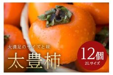 【 2025年 先行予約 】 太豊柿 2L 12玉 （鈴木柿園） 柿 甘い柿 糖度高い 太豊かき 大玉 カキ 甘い 果物 フルーツ くだもの かき 秋 旬 甘柿 贈答用 贈答品 ギフト 贈り物 品種 ブランド 発送 産地直送 農家直送 産直 茨城県 石岡市 (A08-007)