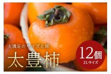 【 2025年 先行予約 】 太豊柿 2L 12玉 （鈴木柿園） 柿 甘い柿 糖度高い 太豊かき 大玉 カキ 甘い 果物 フルーツ くだもの かき 秋 旬 甘柿 贈答用 贈答品 ギフト 贈り物 品種 ブランド 発送 産地直送 農家直送 産直 茨城県 石岡市 (A08-007)