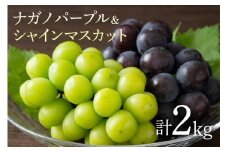 ナガノパープル シャインマスカット 詰め合わせ 2kg 種なし ぶどう セット 葡萄 マスカット フルーツ 果物 くだもの 高級 フルーツセット 詰合せ 詰め合わせセット ギフト 人気 贈答用 冷蔵 家族向け 茨城県 石岡市 (A02-019)
