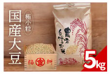 大豆 5kg 極小粒 岡田ファーム だいず ダイズ 国産 小粒 料理 煮豆 豆乳 納豆 用途多彩 健康食品 高たんぱく 保存食 産地直送 送料無料 (B02-024)