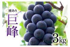 巨峰 3kg ( 種あり ) 川田ぶどう園 ぶどう ブドウ 国産 果物 くだもの 葡萄 黒系ぶどう 甘い フルーツ 3キロ 9月 発送 秋 旬 品種 茨城県産 産地直送 産直 農家直送 冷蔵 茨城県 石岡市 (A06-002)