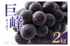 【 2025年 先行予約 】 巨峰 2kg ( 種あり ) 石田ぶどう園 5房 ～ 8房 ぶどう ブドウ 国産 果物 くだもの 葡萄 フルーツ 2キロ 9月 10月 発送 秋 旬 品種 茨城県産 産地直送 産直 農家直送 冷蔵 茨城県 石岡市 (A02-002)