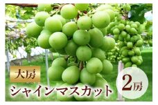 【2025年 先行予約】シャインマスカット大房 2房 大粒 皮ごと食べられる 葡萄 ぶどう 果物 グレープ 贈答用 家庭用 フルーツギフト スイーツ用 お取り寄せ 予約限定 産地直送 冷蔵 茨城県 石岡市（A38-001）