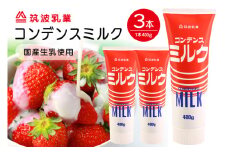 コンデンスミルク 3点 セット 練乳 加糖練乳 480g x3本 業務用 まとめ買い 朝食 製菓 デザート イチゴ いちご かき氷 にかける 家庭用 茨城県 石岡市 G15-007