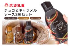 チョコレート・キャラメルソース 3本 セット 3種類 各1本 業務用 チョコレート キャラメル ソース 290g ビターキャラメル 300g キャラメルミルク580g まとめ買い 朝食 製菓 デザート 家庭用 茨城県 石岡市 G15-008