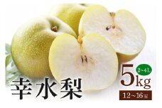幸水梨 箱込約 5kg（JA新ひたち野）梨 約 12玉 ～ 16玉 品種 幸水 なし ナシ 果物 フルーツ 4L 3L 2Lサイズ 5キロ 8月 発送 夏 旬 産地直送 農家直送 産直 国産 くだもの 甘い 糖度 茨城県産 茨城県 石岡市 (B01-009)