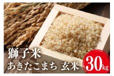 【令和7年産】獅子米 あきたこまち 玄米30kg お米 米 玄米 おこめ ブランド米 30キロ 国産 コメ こめ ご飯 銘柄米 茨城県産 茨城 産直 産地直送 農家直送 ごはん 家庭用 贈答用 お取り寄せ 茨城県 石岡市 B02-057