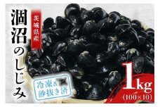涸沼産 冷凍しじみ 中粒 1kg（100g×10p）【石岡市・水戸市共通返礼品】 しじみ シジミ 蜆 国産 小分け 砂抜き不要 冷凍 冷凍保存 海鮮 貝 魚貝類 魚介類 魚貝 魚介 味噌汁 みそ汁 酒蒸し おつまみ しじみ汁 C10-002