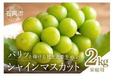【ご家庭用　数量限定】シャインマスカット家庭用2kg 種なし ぶどう ブドウ 国産 果物  葡萄 種無し フルーツ 不揃い 家庭用 秋 旬 品種 茨城県産 産直 農家 直送 冷蔵 茨城県 石岡市 A02-020