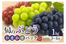 旬のぶどうお任せパック（種あり） 1kg A14-017