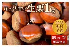 【2025先行予約】茨城県産 生栗1kg