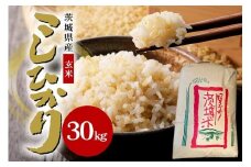 【令和6年産】石岡市産コシヒカリ30kg 玄米 限定30袋 米 お米 こしひかり こめ コシヒカリ ブランド米 取り寄せ 特産 ごはん ご飯 コメ お取り寄せ ギフト 贈り物 お弁当 弁当 おにぎり ふっくら ツヤツヤ 甘い 農家直送 産地直送 数量限定 国産 茨城県産 石岡市 贈答 (B05-006)