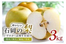 石岡のおいしい梨3kg A39-001
