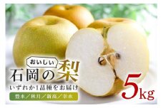 石岡のおいしい梨5kg A39-002