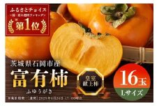【 2025年 先行予約 】八郷柿出荷組合の 富有柿 L 16玉 柿 皇室献上柿 かき 富有カキ ( 1箱 ) 果物 フルーツ くだもの カキ 富有かき 秋 旬 高級 糖度 贈答用 贈答品 ギフト 贈り物 品種 ブランド 11月 12月 発送 産地直送 農家直送 産直 茨城県 石岡市 (A21-002)