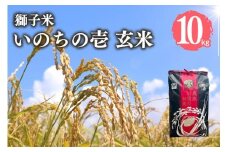 【令和7年産】獅子米 いのちの壱 玄米 10kg 岡田ファーム コンテスト受賞米 お米 米 おこめ ブランド米 10キロ 国産 単一原料米 コメ こめ ご飯 銘柄米 茨城県産 茨城 産直 産地直送 農家直送 ごはん 家庭用 贈答用 お取り寄せ 茨城県 石岡市 (B02-019)