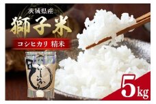 【令和7年産】獅子米 コシヒカリ 精米 5kg 岡田ファーム コンテスト受賞米 お米 白米 米 おこめ ブランド米 こしひかり 5キロ 国産 単一原料米 コメ こめ ご飯 銘柄米 茨城県産 茨城 産直 産地直送 農家直送 ごはん 家庭用 贈答用 お取り寄せ ギフト 茨城県 石岡市 (B02-001)