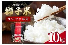 【令和7年産】獅子米 コシヒカリ 精米 10kg 岡田ファーム コンテスト受賞米 お米 白米 米 おこめ ブランド米 こしひかり 10キロ 国産 単一原料米 コメ こめ ご飯 銘柄米 茨城県産 茨城 産直 産地直送 農家直送 ごはん 家庭用 贈答用 お取り寄せ ギフト 茨城県 石岡市 (B02-002)