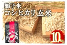 【令和7年産】獅子米 コシヒカリ 玄米 10kg 岡田ファーム コンテスト受賞米 お米 米 おこめ ブランド米 こしひかり 10キロ 国産 単一原料米 コメ こめ ご飯 銘柄米 茨城県産 茨城 産直 産地直送 農家直送 ごはん 家庭用 贈答用 お取り寄せ ギフト 茨城県 石岡市 (B02-003)