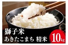 【令和7年産】獅子米 あきたこまち 精米10kg お米 米 精米 おこめ ブランド米 30キロ 国産 コメ こめ ご飯 銘柄米 茨城県産 茨城 産直 産地直送 農家直送 ごはん 家庭用 贈答用 お取り寄せ 茨城県 石岡市 B02-058