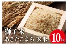 【令和7年産】獅子米 あきたこまち 玄米10kg お米 米 玄米 おこめ ブランド米 30キロ 国産 コメ こめ ご飯 銘柄米 茨城県産 茨城 産直 産地直送 農家直送 ごはん 家庭用 贈答用 お取り寄せ 茨城県 石岡市 B02-059