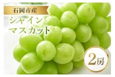 シャインマスカット 2房 マスカット ぶどう ブドウ フルーツ 果物 くだもの 茨城県 石岡市 A38-002