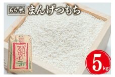 まんげつもち 精米 5kg 岡田ファーム もち米 マンゲツモチ お米 もち 米 モチ 5キロ 国産 餅 こめ コメ 茨城県産 茨城 産直 産地直送 農家直送 おこわ 団子 餅米 白もち米 精米もち米 餅つき 年末年始 満月もち 家庭用 贈答用 茨城県 石岡市 (B02-021)