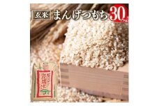 まんげつもち 玄米 30kg 岡田ファーム もち米 マンゲツモチ お米 もち 米 モチ 30キロ 国産 餅 こめ コメ 茨城県産 茨城 産直 産地直送 農家直送 おこわ 団子 餅米 玄米もち米 精米もち米 餅つき 年末年始 満月もち 家庭用 贈答用 茨城県 石岡市 (B02-023)