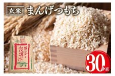 まんげつもち 玄米 30kg 岡田ファーム もち米 マンゲツモチ お米 もち 米 モチ 30キロ 国産 餅 こめ コメ 茨城県産 茨城 産直 産地直送 農家直送 おこわ 団子 餅米 玄米もち米 精米もち米 餅つき 年末年始 満月もち 家庭用 贈答用 茨城県 石岡市 (B02-023)
