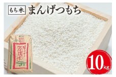 まんげつもち 精米 10kg 岡田ファーム もち米 マンゲツモチ お米 もち 米 モチ 10キロ 国産 餅 こめ コメ 茨城県産 茨城 産直 産地直送 農家直送 おこわ 団子 餅米 白もち米 精米もち米 餅つき 年末年始 満月もち 家庭用 贈答用 茨城県 石岡市 (B02-060)