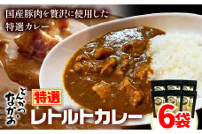 特選レトルトカレー 6食セット 中尾畜産株式会社（とんかつなかお）《90日以内に出荷予定(土日祝除く)》茨城県 結城市 国産豚肉使用 加工食品 惣菜 レトルトカレー 豚肉 カレー