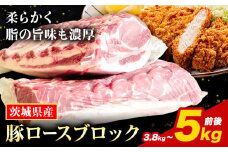 豚ロース 「う～んまいから！くっちみ～」 茨城県産 豚ロース 約3.8kg ～ 5kg 前後 ブロック ２分割でお届け 協同農産 《90日以内に出荷予定(土日祝除く)》 肉 豚肉 ポーク 国産 ローストポークロースハム 角煮 茨城県 結城市【配送不可地域あり】(北海道・沖縄・離島)