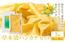 草木染 ハンカチ 2枚 セット 黄×2 結城市社会福祉協議会 障害者福祉センター 《30日以内に出荷予定(土日祝除く)》茨城県 結城市 ファッション 小物 天然草木染 オリジナル マリーゴールド ハンカチ イエロー